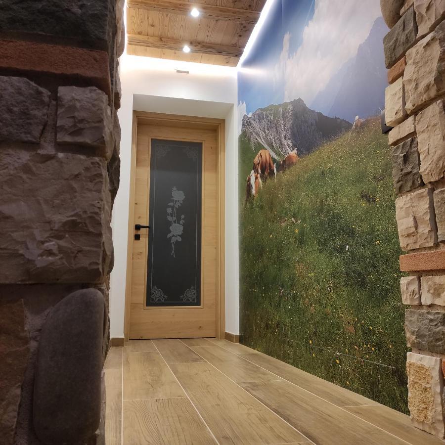 Cuore Delle Dolomiti Alloggi Vacanze San Pietro di Cadore Eksteriør bilde
